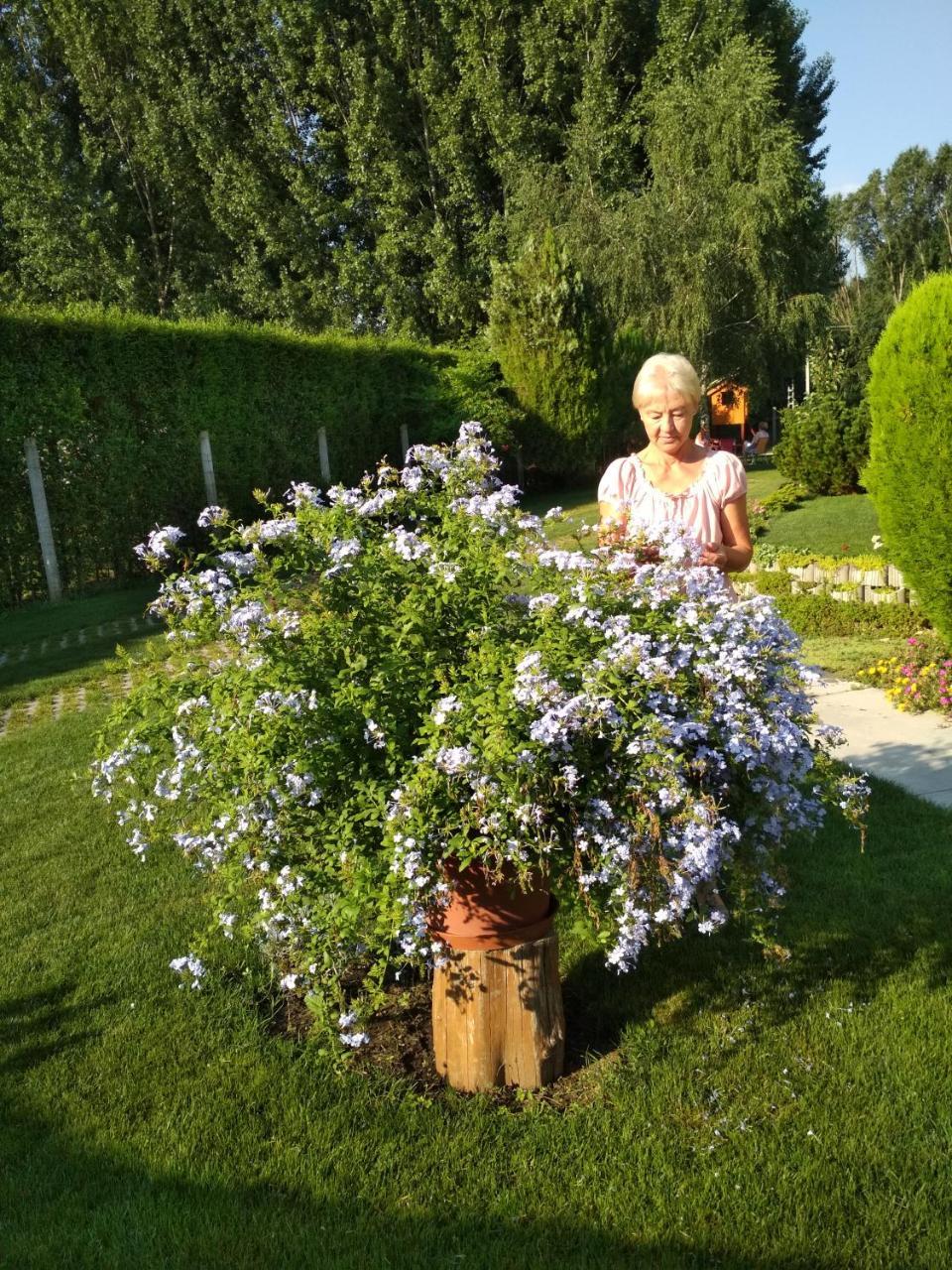 Tiszaug Golya Vendeghaz 아파트 외부 사진